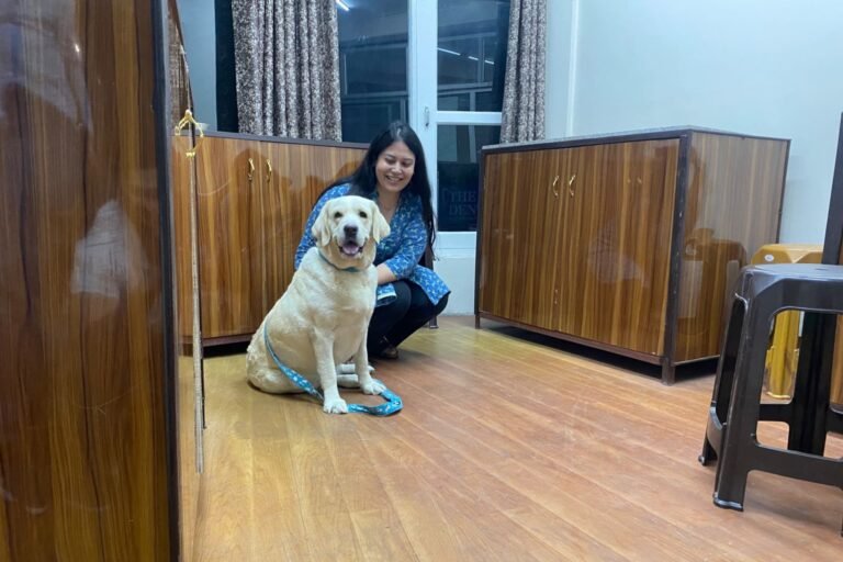 A happy labra at our pet clinic in Shimla