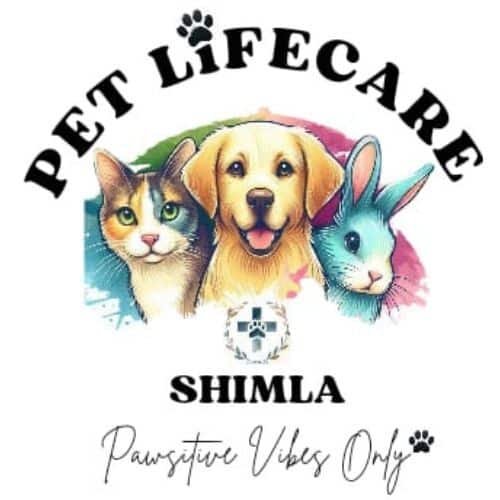 Logo of Pet Lifecare Shimla