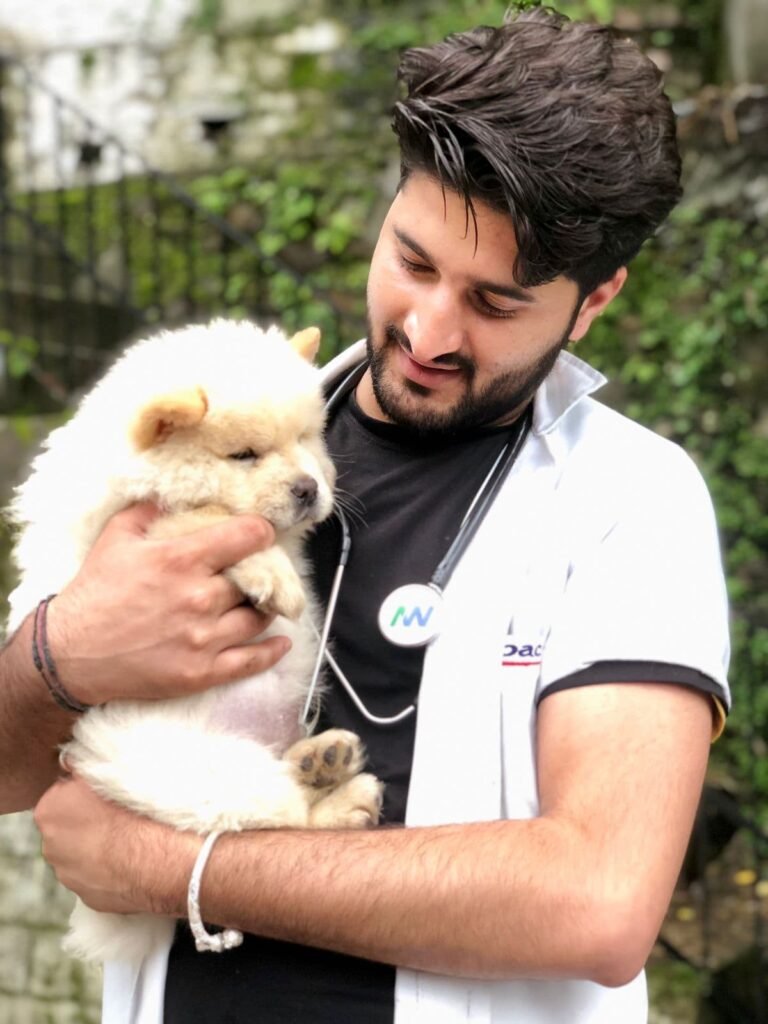 Veterinarian in Shimla taking care of a dog