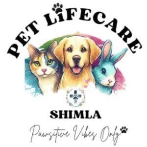 Cropped Logo of Pet Lifecare Shimla, A Pet Clinic In Shimla