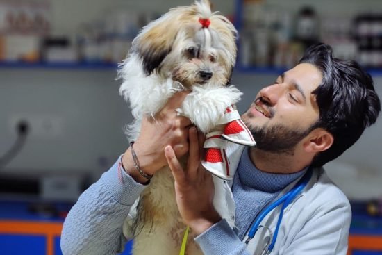 veterinary doctor vipul verma playing with his dog